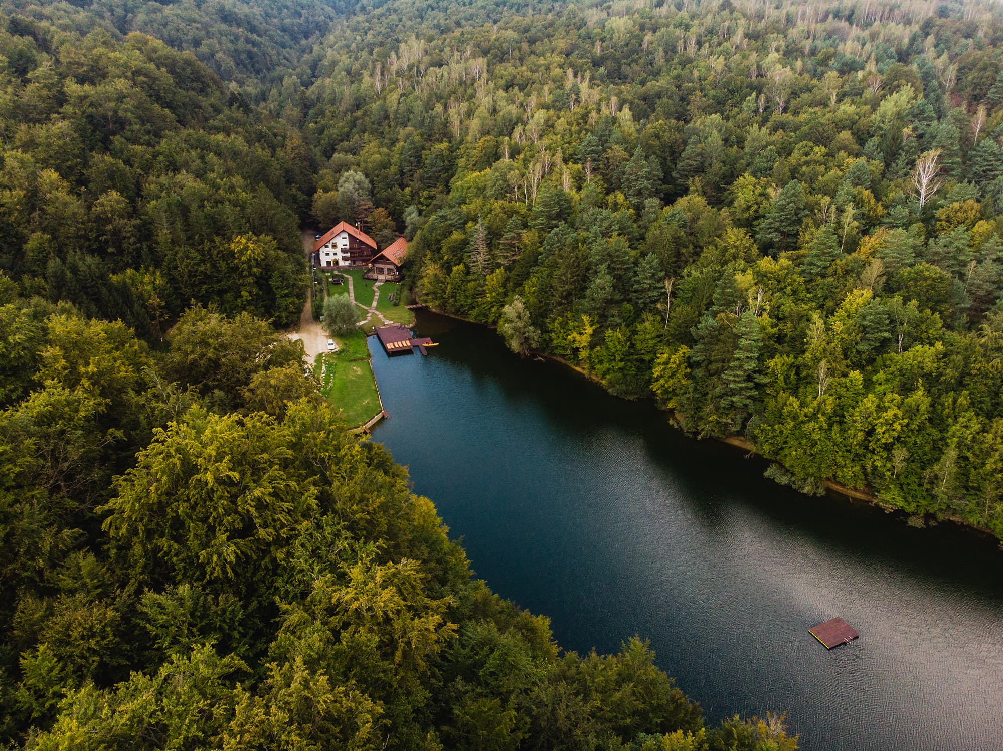 Vedere aeriană a zonei împădurite din jurul lacului